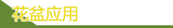 花盆應(yīng)用