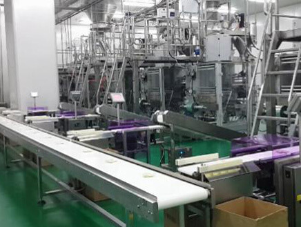 高架橋綠化掛盆