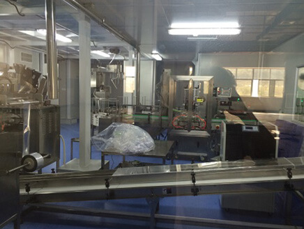 人行天橋垂直綠化花盆